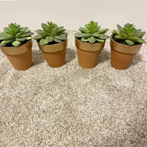 Set of 3 terracotta faux succulents new - Picture 10 of 12